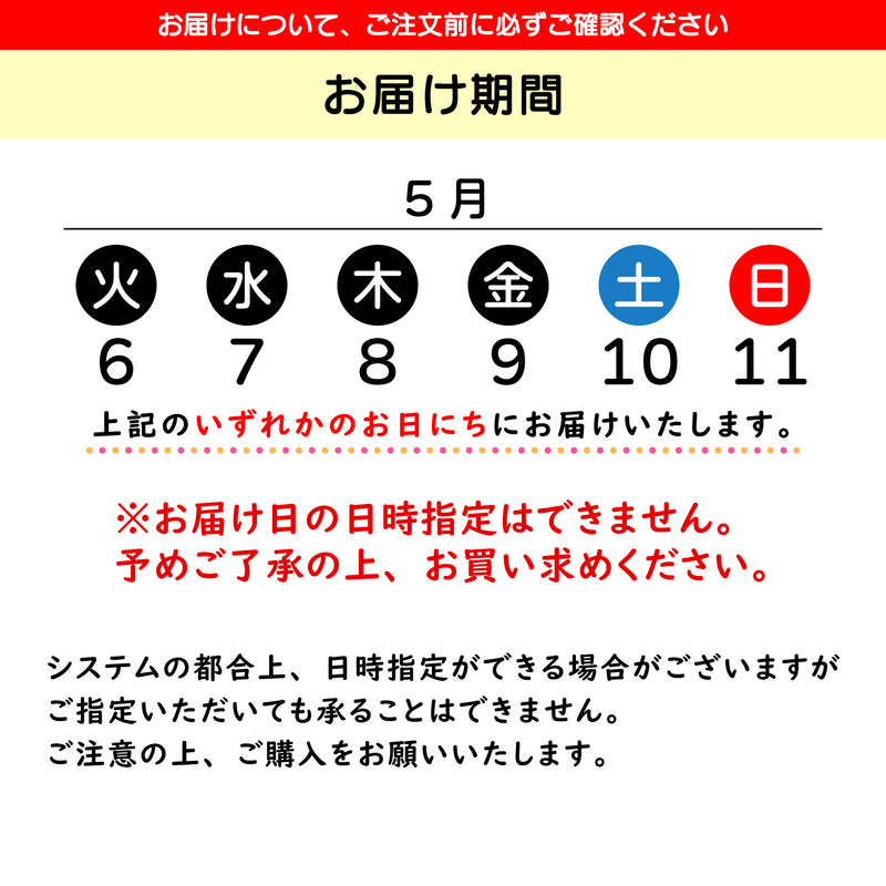 母の日ギフト 特選　カーネーション ピンク 鉢植え 5号鉢 <お届け期間:5月6日(火)～5月11日(日) 日時指定不可> 2025年