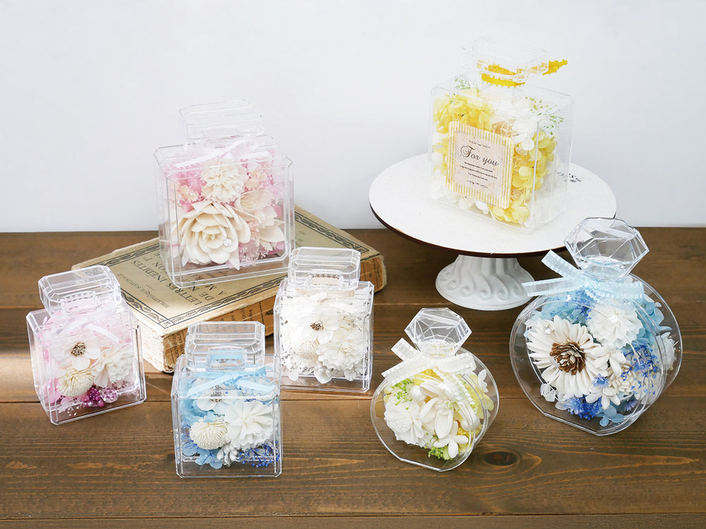 計10本セット苗 delsira-5.jpg