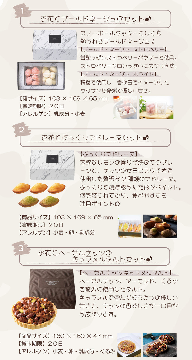 母の日ギフト 特選　カーネーション ピンク 鉢植え 5号鉢 <お届け期間:5月6日(火)～5月11日(日) 日時指定不可> 2025年