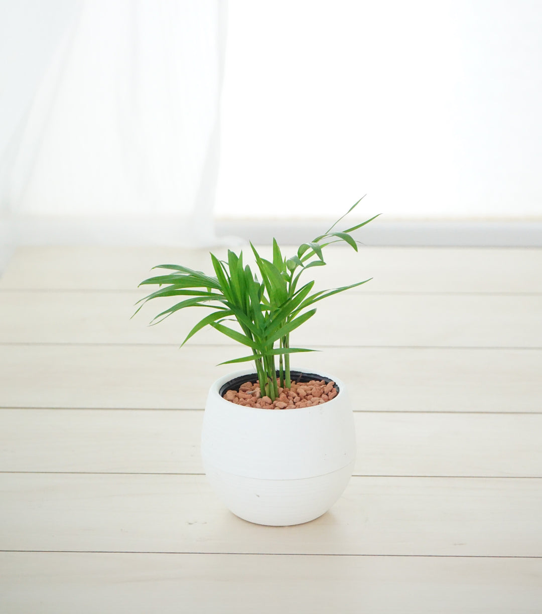 2_1_1080x.jpg?v=1675922264