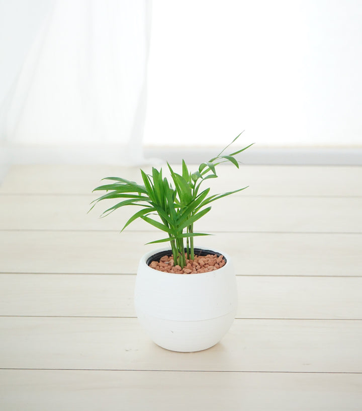 2_1_720x.jpg?v=1675922264