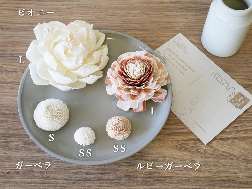 ソラフラワー・solage – 園芸ショッピング はなみどり