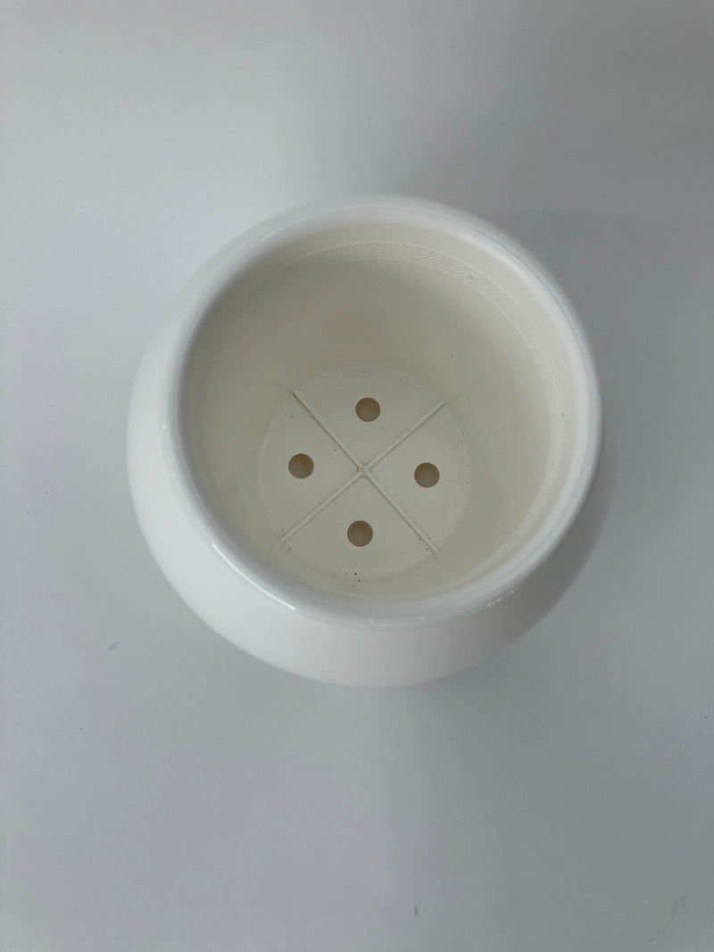 カプセル 白 5寸 底面給水鉢 5個入り（内寸10.5cm）